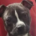 Profile picture of Andy